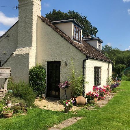 Chaseborough Farm Acomodação com café da manhã Verwood Exterior foto