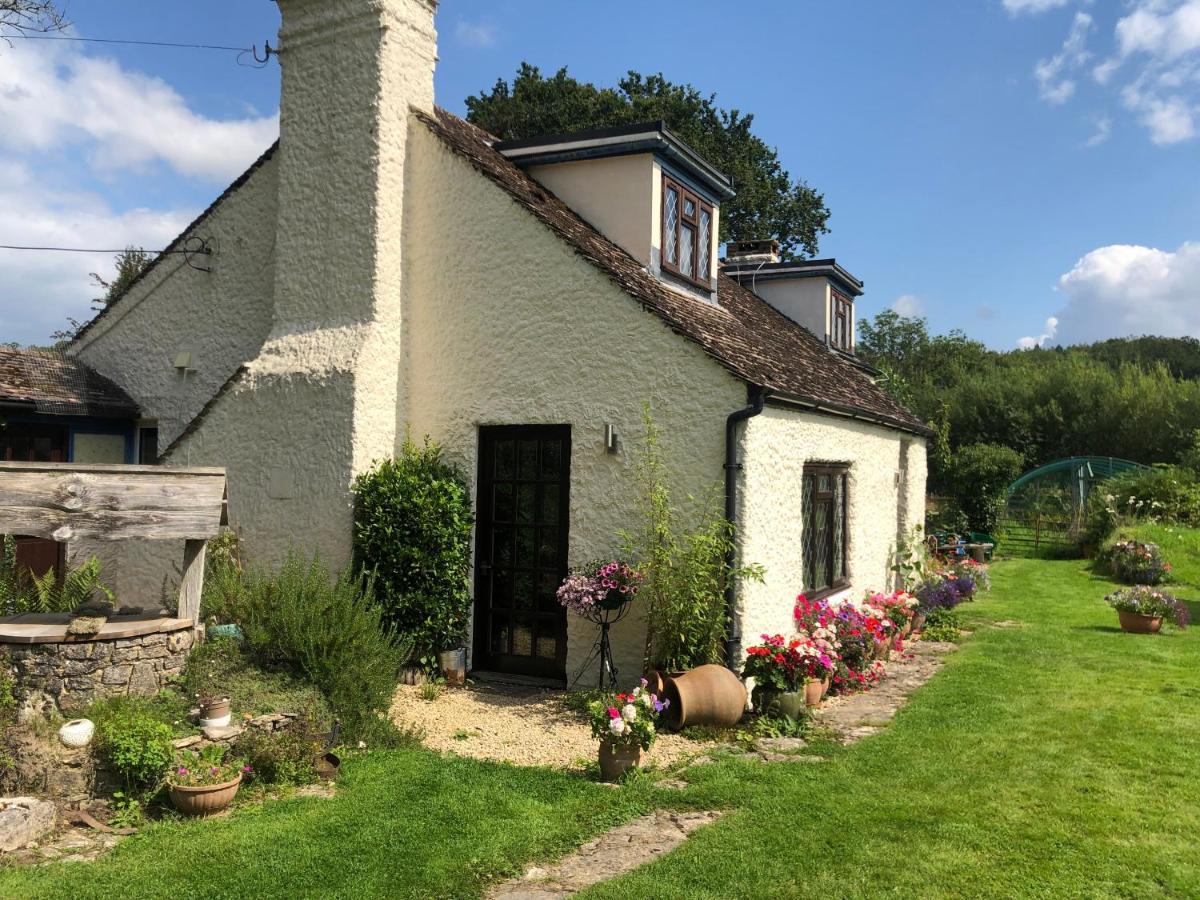 Chaseborough Farm Acomodação com café da manhã Verwood Exterior foto
